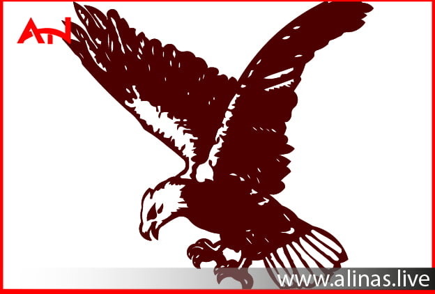 get a free Eagle DXF File for laser cutting