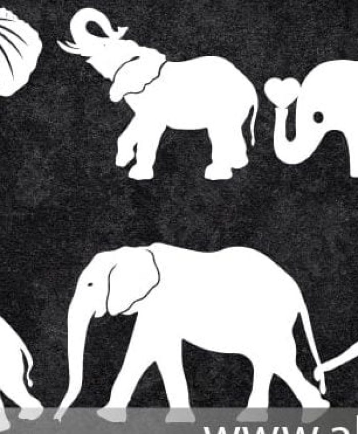 get a free elephant vector